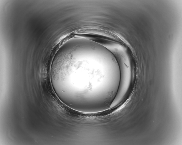 X0000085750969200703161051