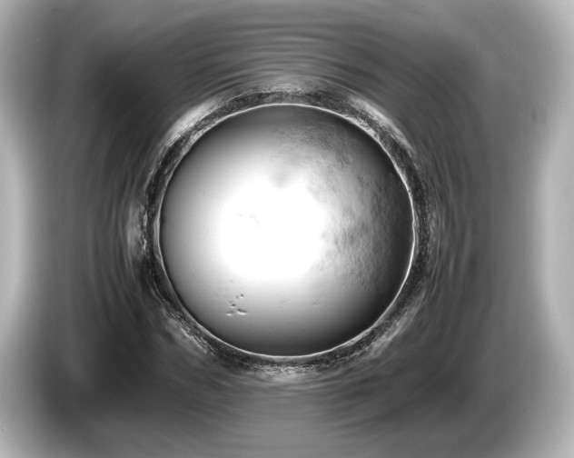 X0000085750970200703161051