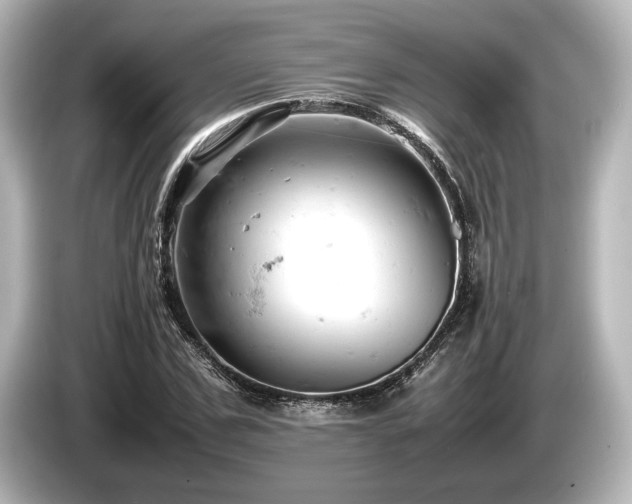 X0000085750971200703161051