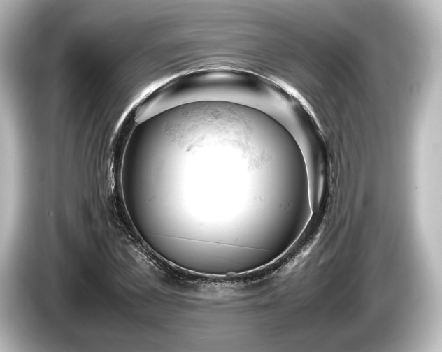 X0000085750973200703161051