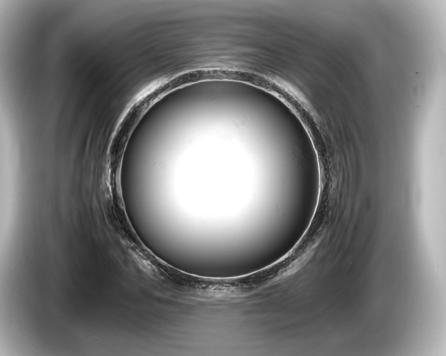 X0000085750974200703161051