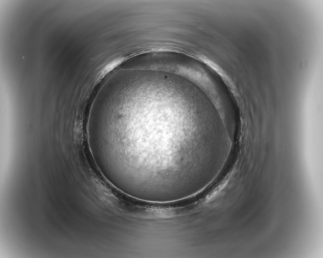 X0000085750977200703161051
