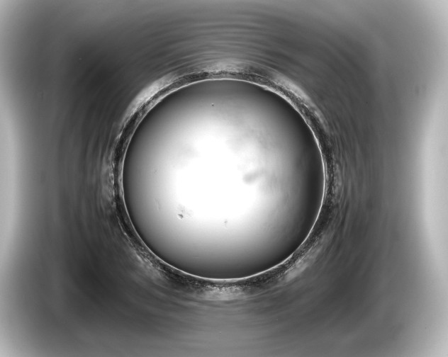 X0000085750978200703161051