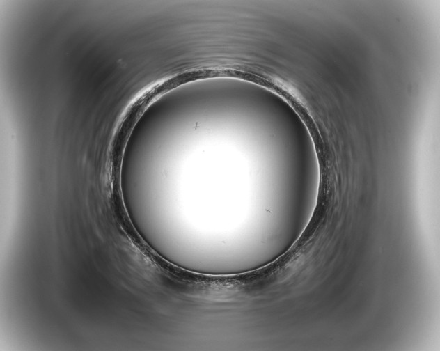 X0000085750979200703161051