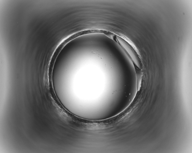 X0000085750980200703161051
