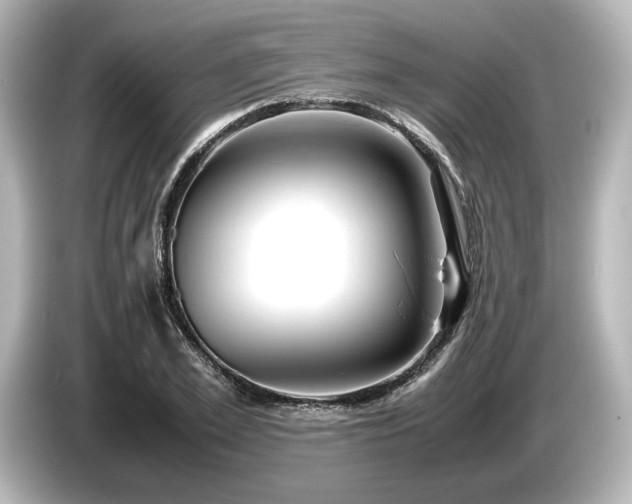 X0000085750981200703161051