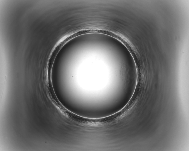 X0000085750982200703161051