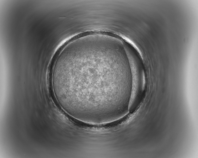 X0000085750983200703161051