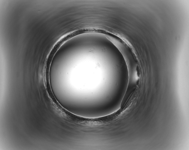 X0000085750984200703161051