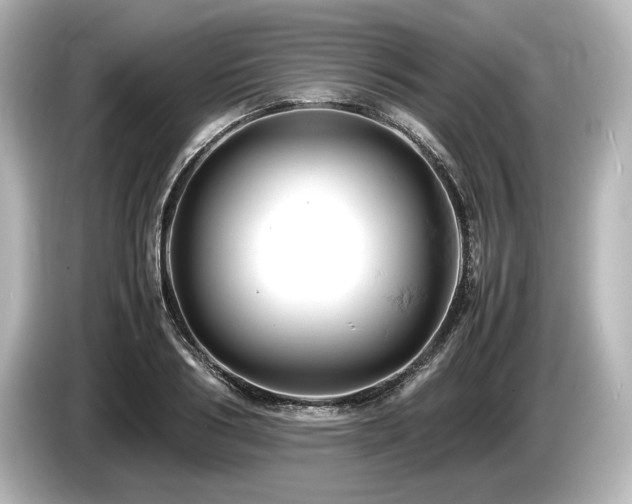 X0000085750986200703161050