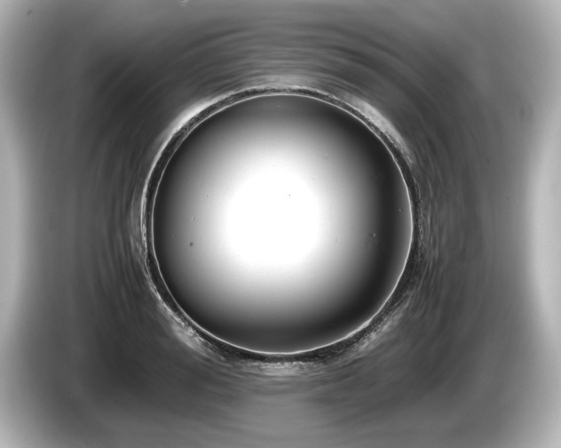 X0000085750988200703161050