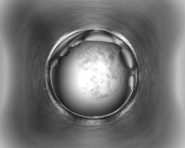 X0000085750989200703161050