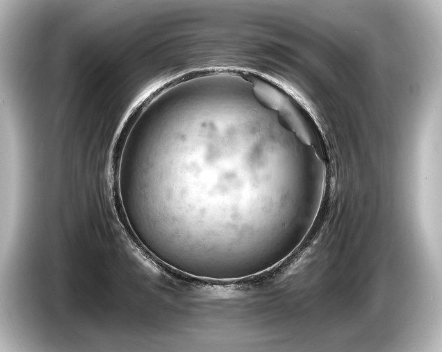 X0000085750990200703161050