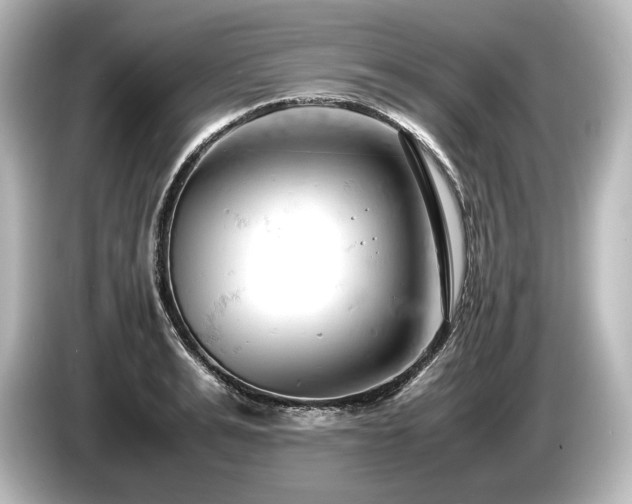 X0000085750991200703161050