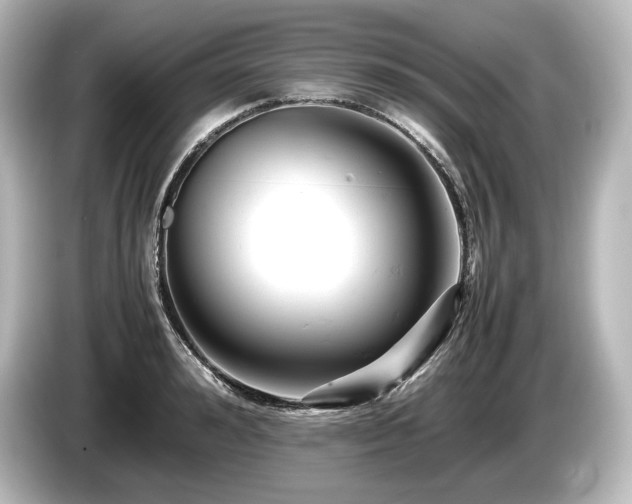 X0000085750992200703161050