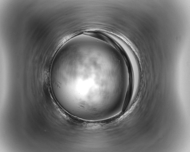 X0000085750993200703161050