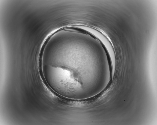 X0000085750995200703161050