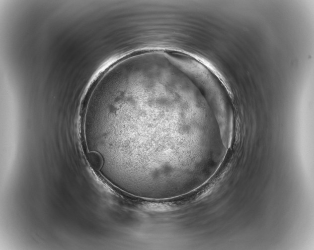 X0000085750998200703161050
