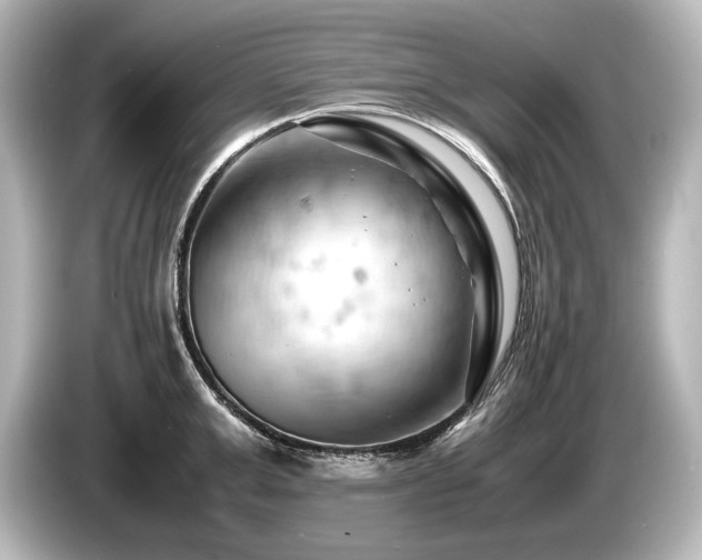X0000085750999200703161050