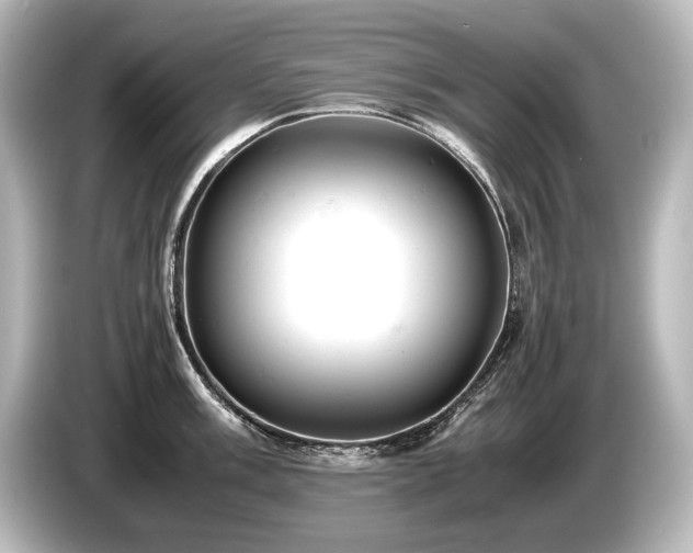 X0000085751003200703161050