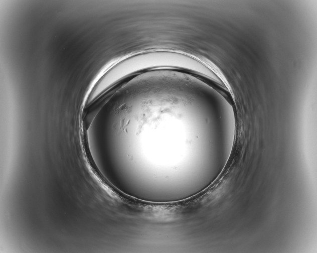 X0000085751005200703161050