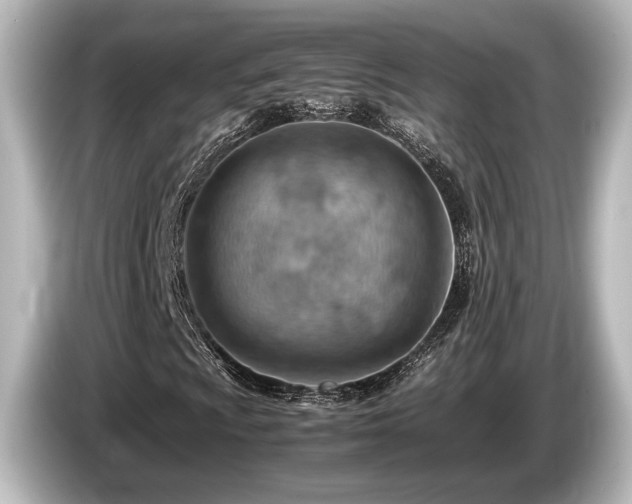 X0000085751009200703161049