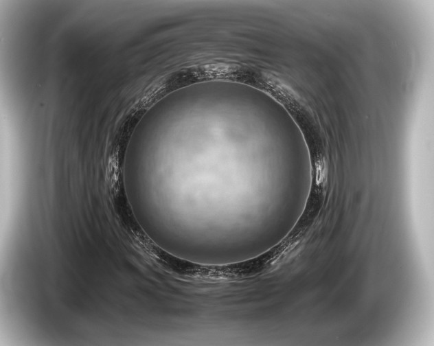 X0000085751011200703161049