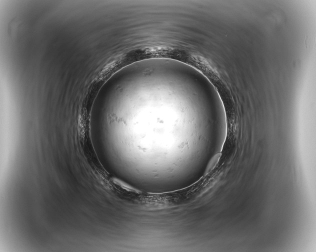 X0000085751012200703161049