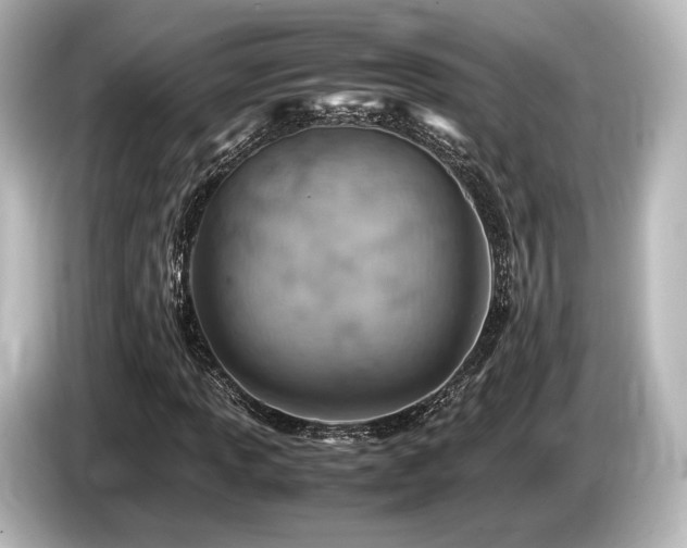 X0000085751013200703161049