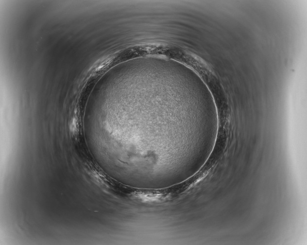 X0000085751014200703161049