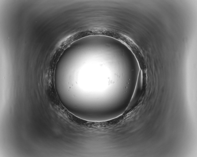 X0000085751016200703161049