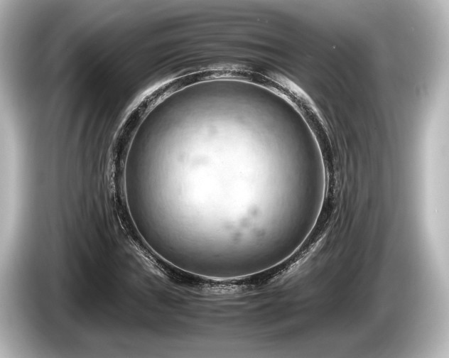 X0000085751019200703161050