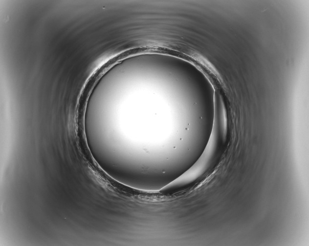 X0000085751020200703161050