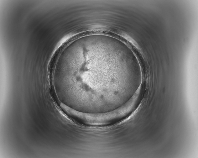 X0000085751022200703161050