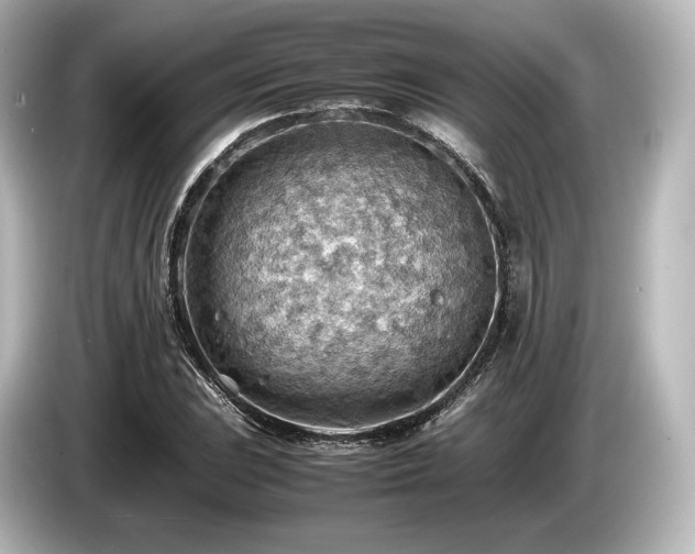 X0000085751023200703161050