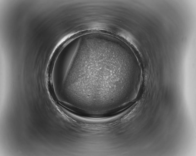 X0000085751024200703161050