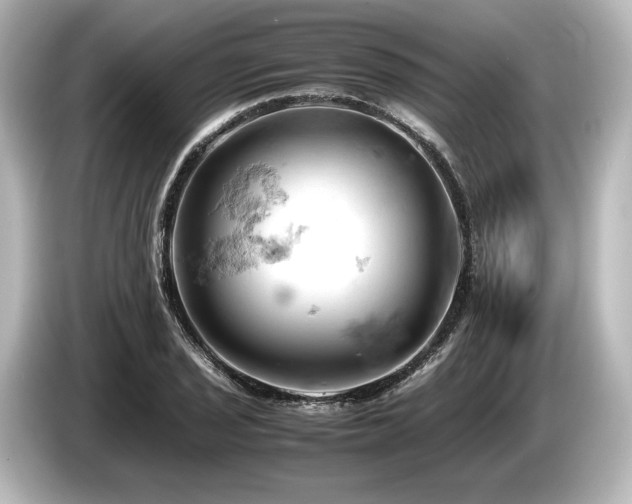 X0000085751029200703161050