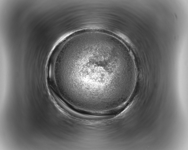 X0000085751030200703161050