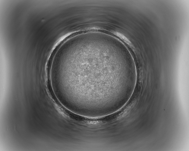 X0000085751031200703161050