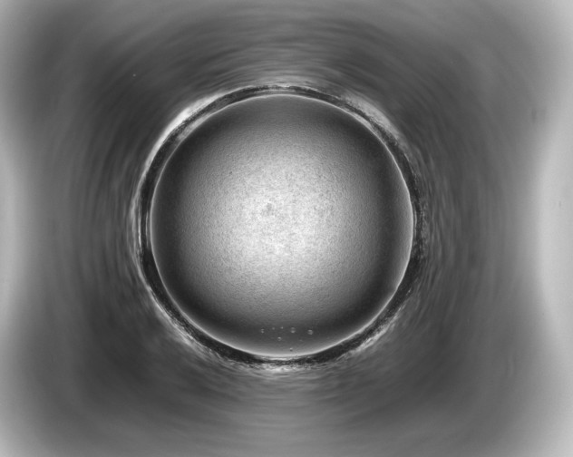 X0000085751032200703161050
