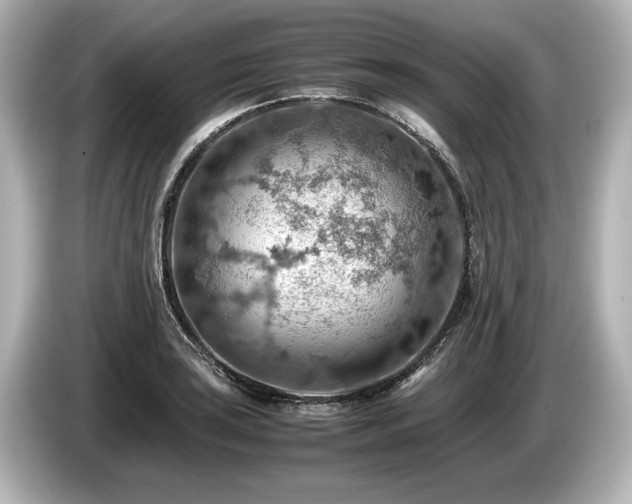 X0000085751035200703161050