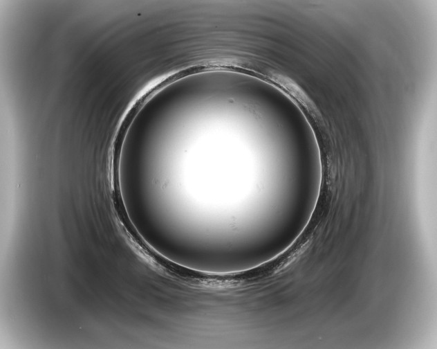 X0000085751036200703161050