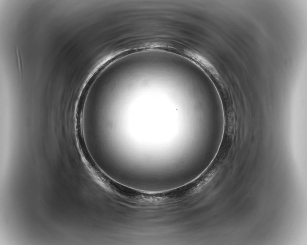 X0000085751039200703161050