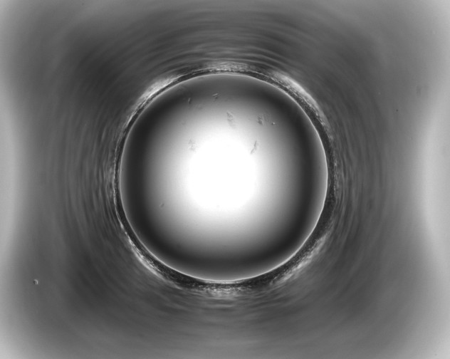 X0000085751041200703161050