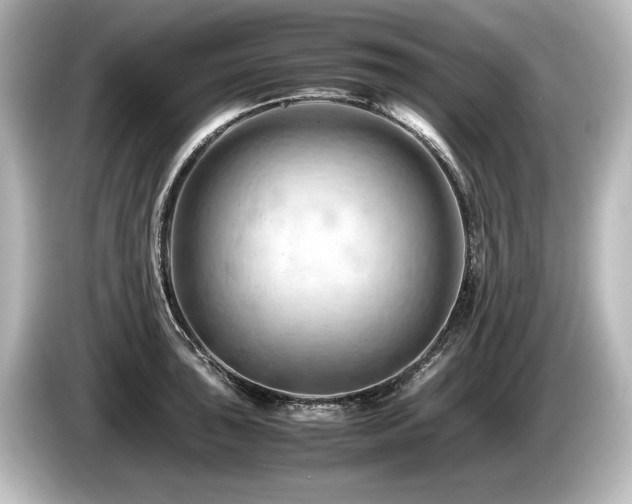 X0000085751043200703161050