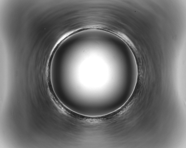 X0000085751044200703161050