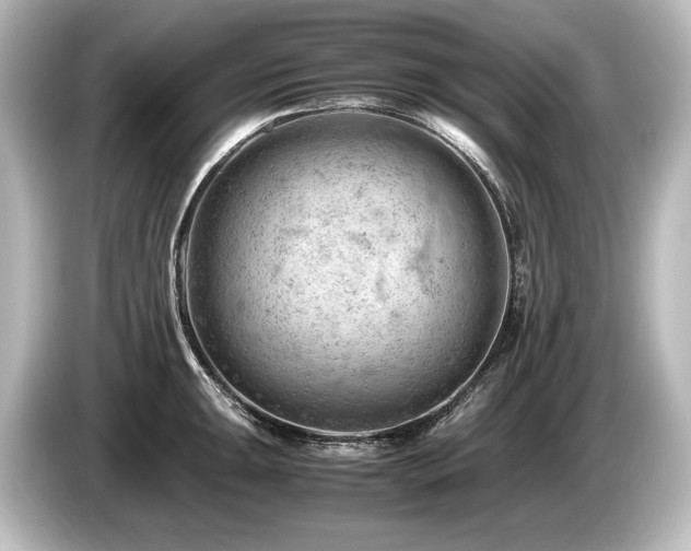 X0000085751047200703161050