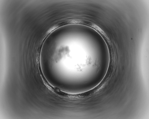 X0000085751049200703161050