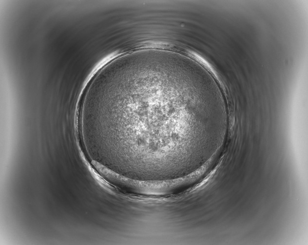 X0000085751050200703161050