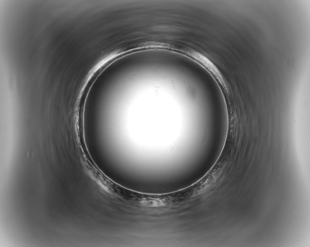 X0000085751051200703161050